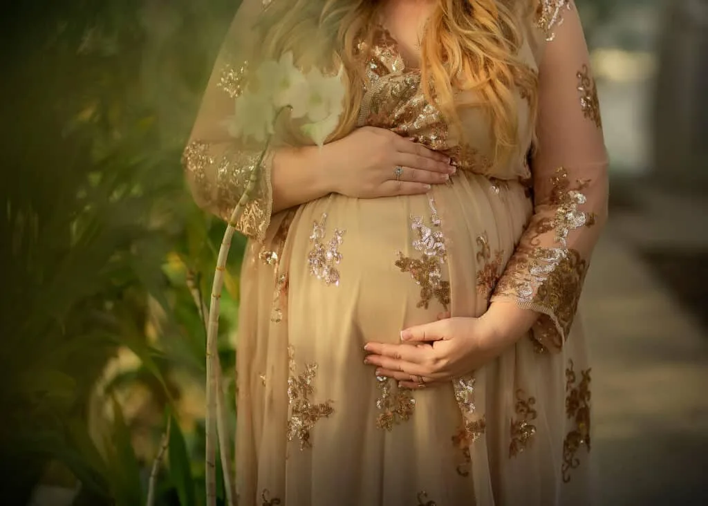 maternity photographer austin tx maternity photographer austin tx | Maternity Portrait Props | Surrogacy Journey Portraits