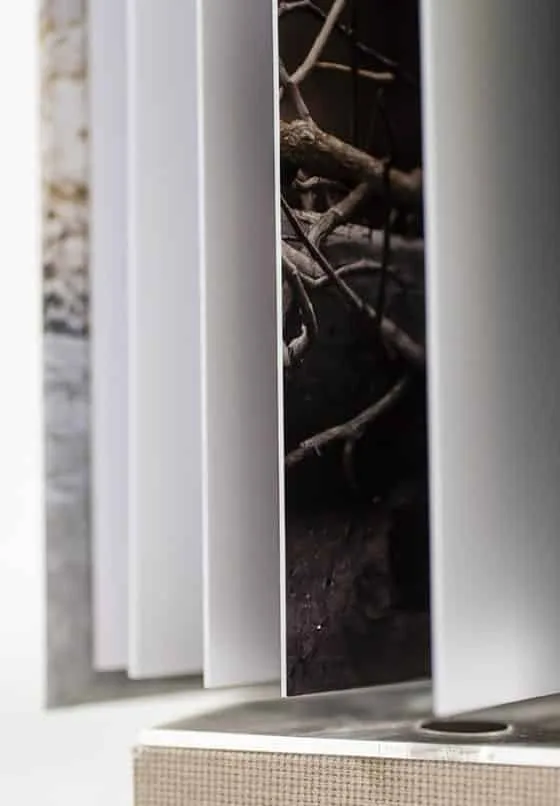 Album Styles and Options Description