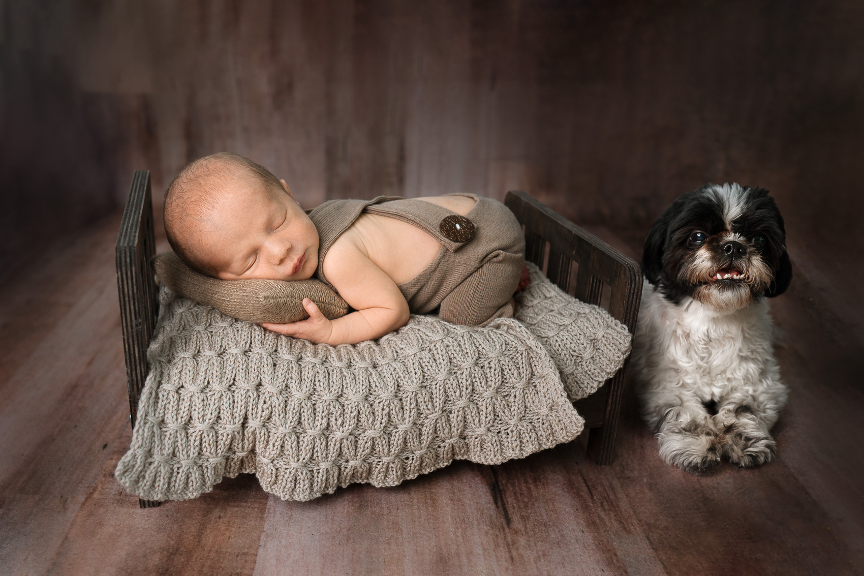 Newborn Portraits with Pets