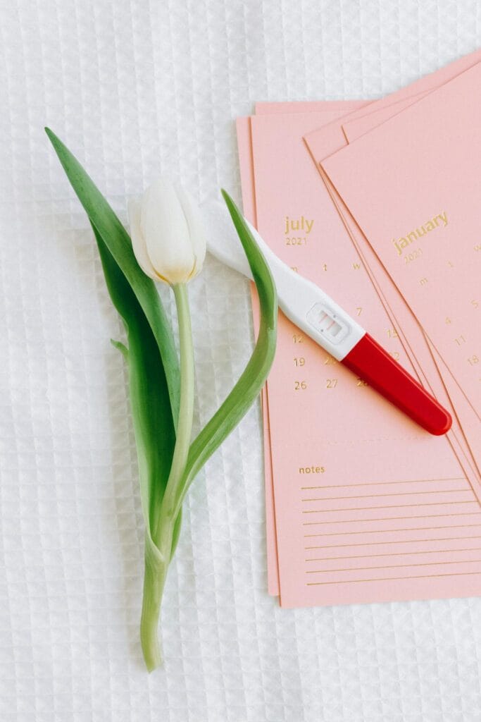 Close-up of a pregnancy test and tulip on a calendar, symbolizing new beginnings. IVF Maternity Photos