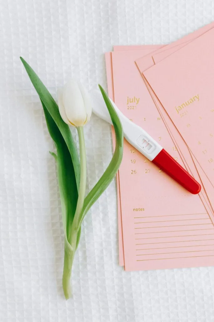 Close-up of a pregnancy test and tulip on a calendar, symbolizing new beginnings. IVF Maternity Photos