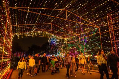Austin Holiday Bucket List 2025: 12 Magical Family Experiences You’ll Love 56 Austin Holiday Bucket List