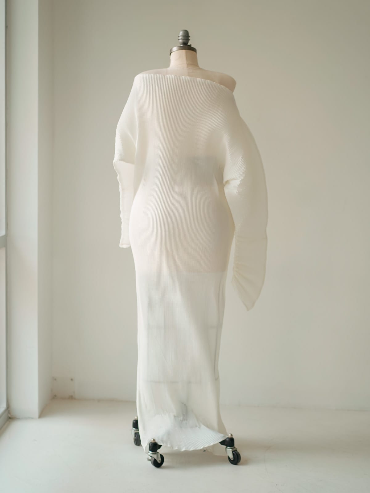 Juno white back Austin Elopement & Portrait Photographer