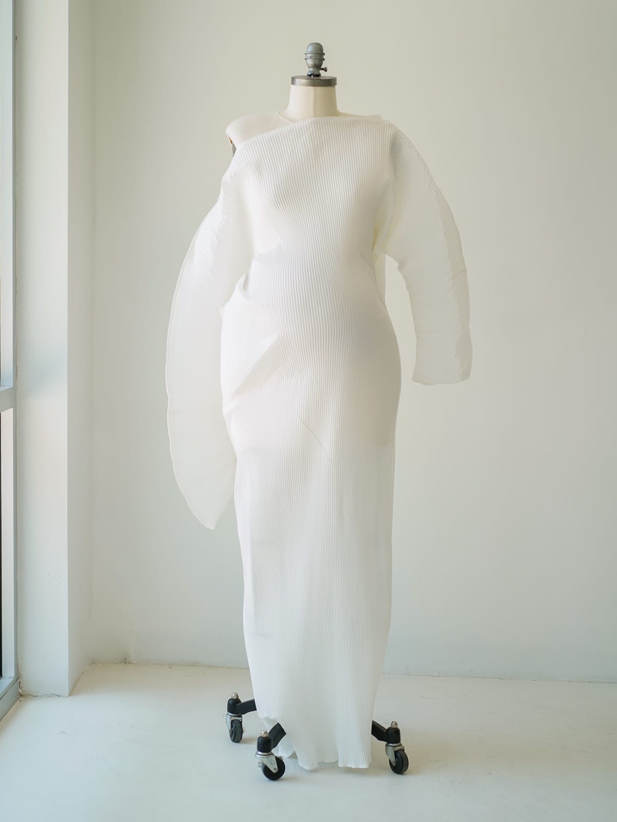 Juno white front Austin Elopement & Portrait Photographer